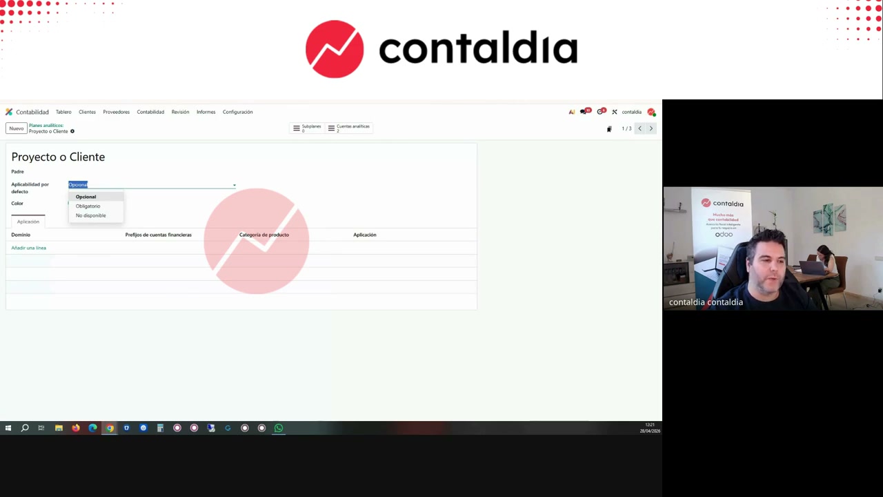 Ficha del plan analítico: subplanes, opcional u obligatorio, color y dominio